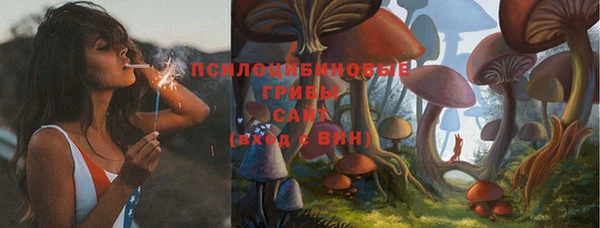 прущие крисы Гусиноозёрск