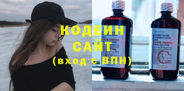 шишки Гусь-Хрустальный