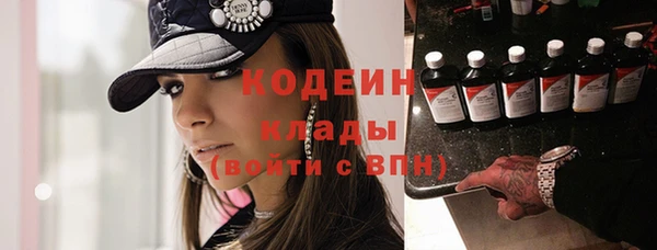 шишки Гусь-Хрустальный