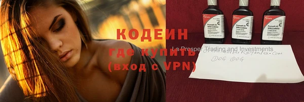 шишки Гусь-Хрустальный