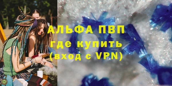 шишки Гусь-Хрустальный