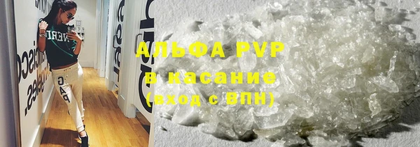 шишки Гусь-Хрустальный