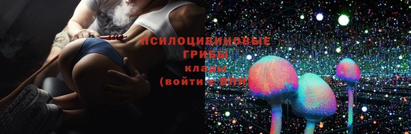 прущие крисы Гусиноозёрск