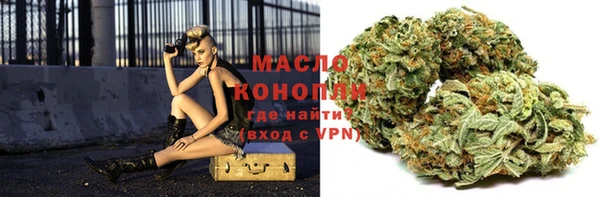 шишки Гусь-Хрустальный