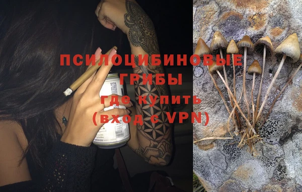 прущие крисы Гусиноозёрск