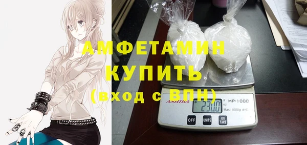 шишки Гусь-Хрустальный
